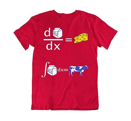 Coole Lustige Mathe Shirt Dy Dx Witz Hemden Amüsantes Ideengeschenk SHIRT